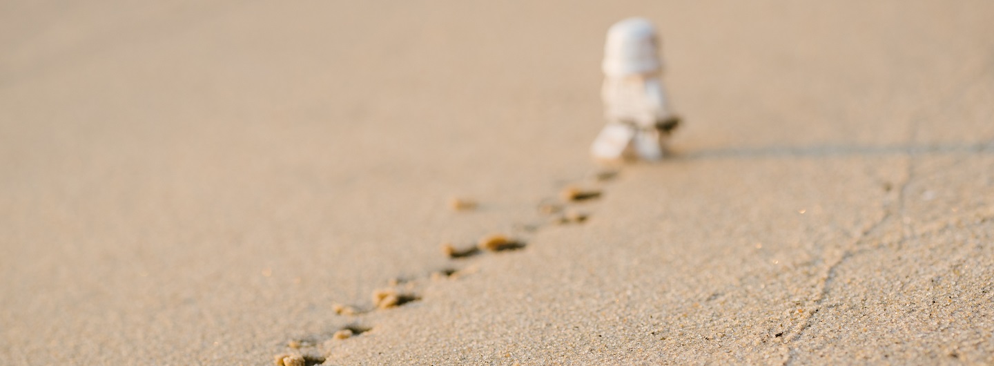 Stormtrooper-Figur geht weg und hinterlässt Spuren im Sand: Sinnbild für das Löschen vieler Instafollower