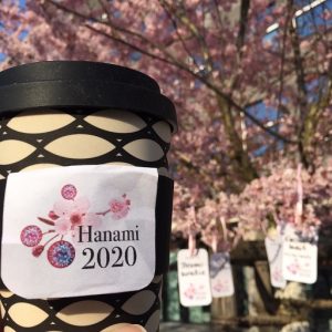 Tee zu Hanami, vor den Zetteln der Dankbarkeit im Kirschbaum
